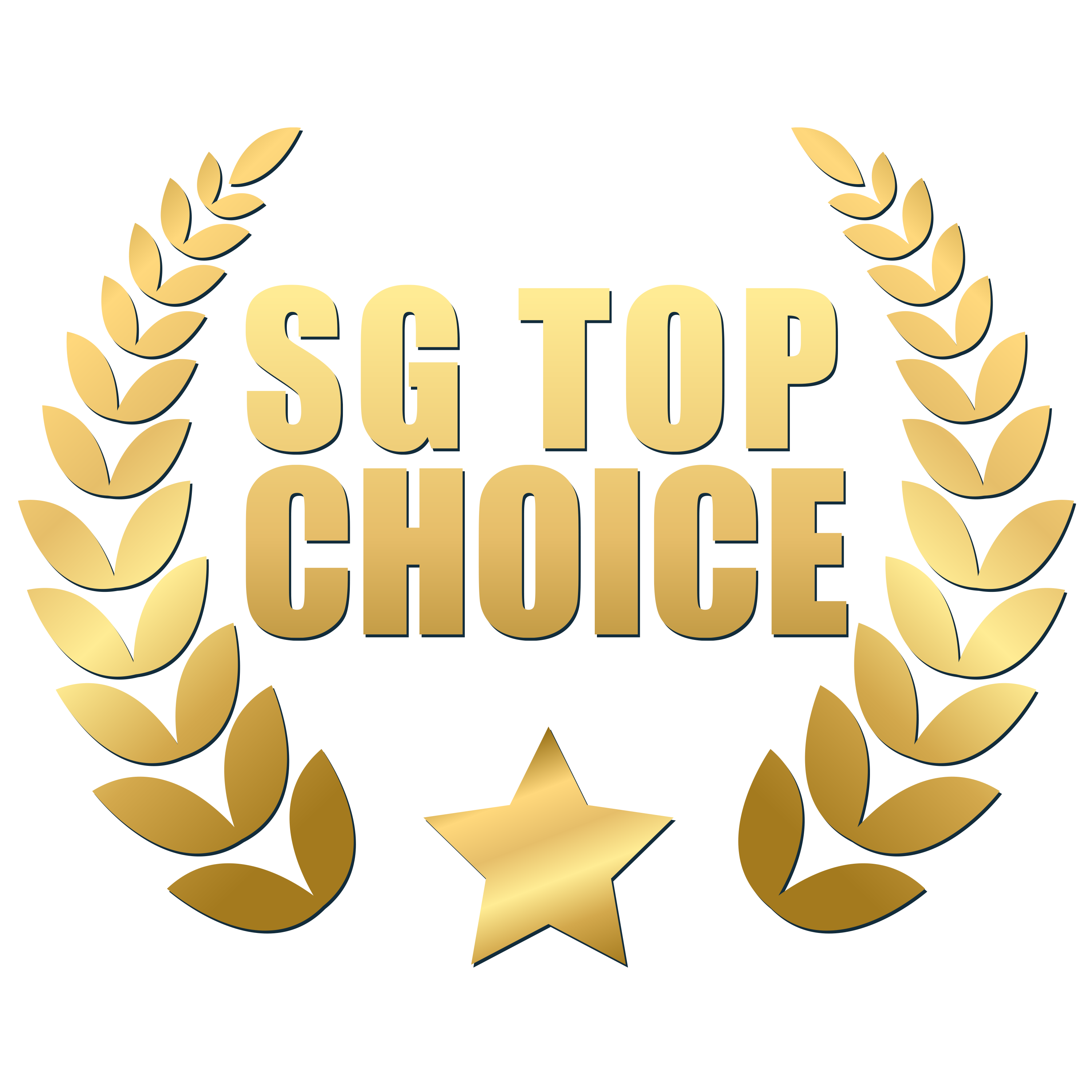 SG Top Choice